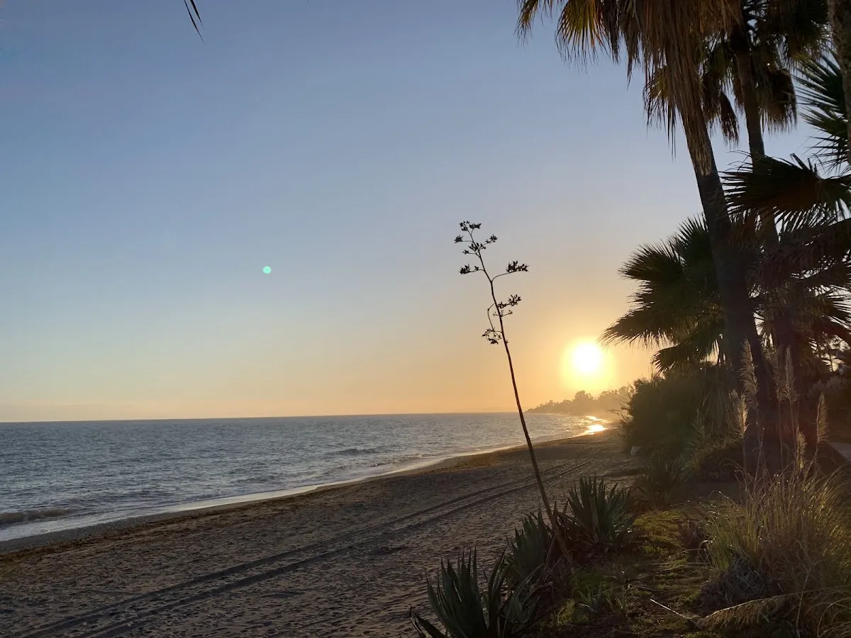 Playa Arroyo de las Cañas, Estepona