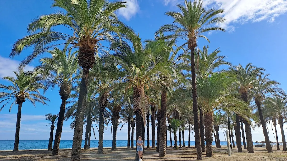 Playa Los Álamos, Torremolinos