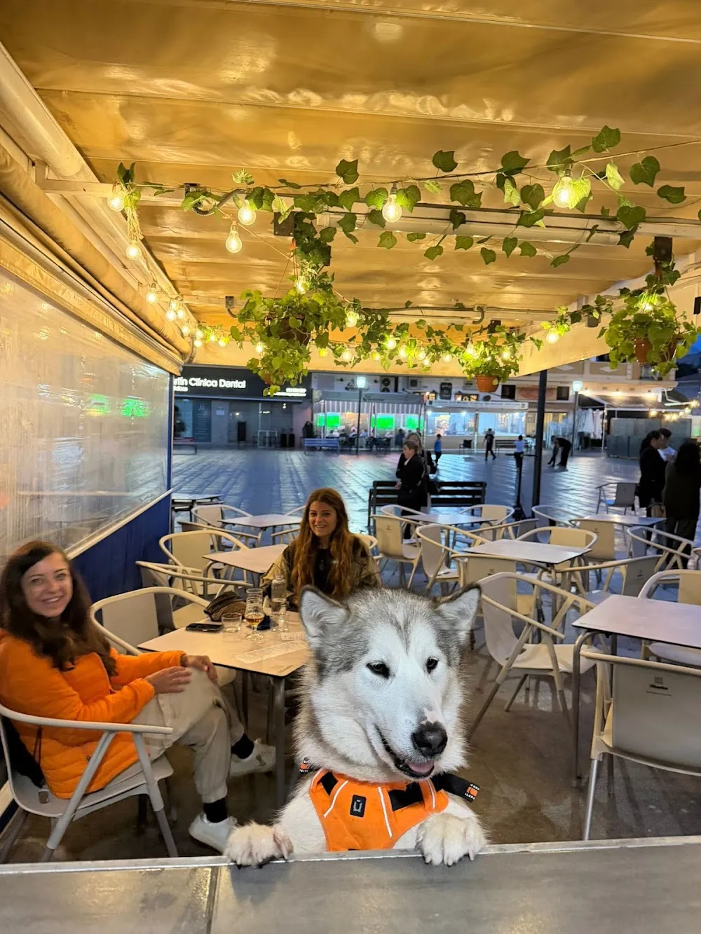 L'ONDA RESTAURANTE