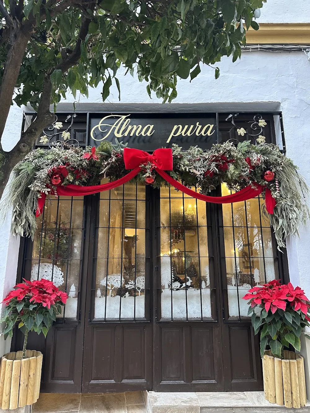 Alma pura
