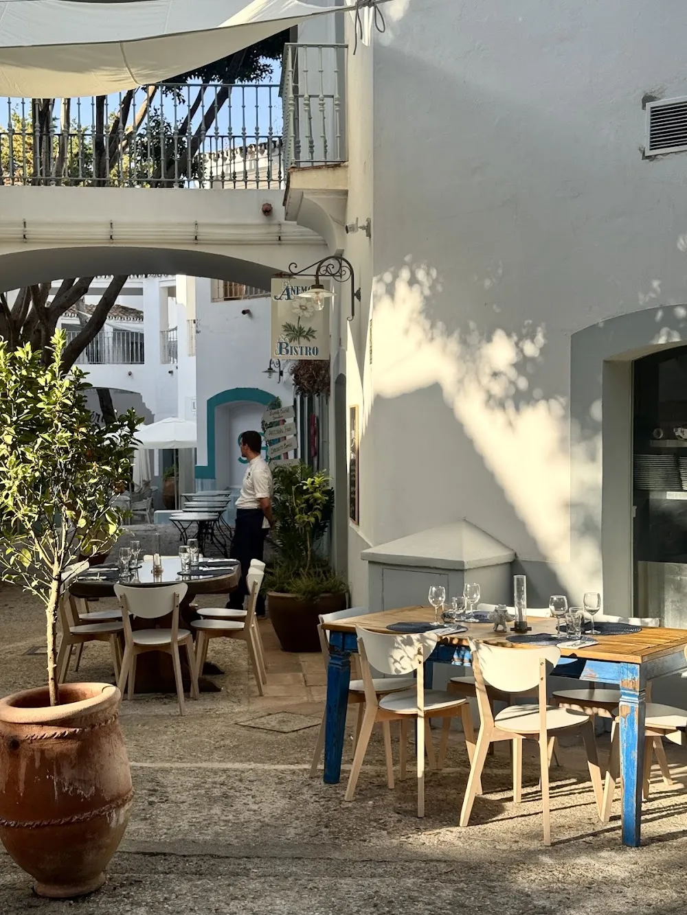 Anemone bistro