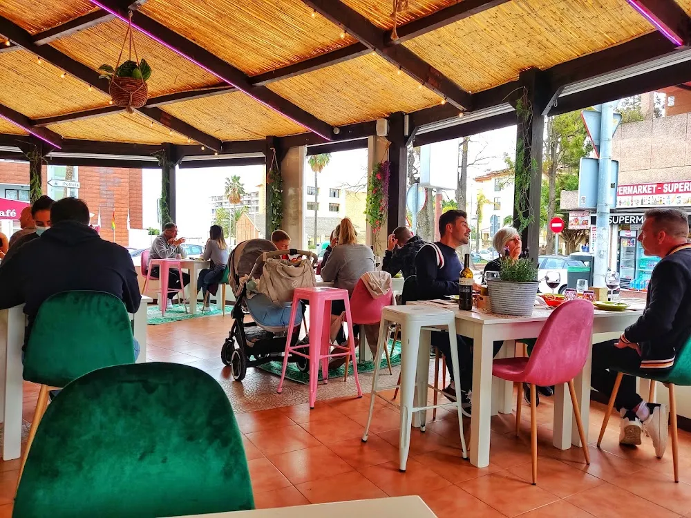 El Gato Casablanca